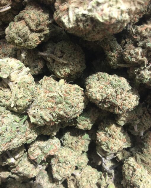 Blue Cheese