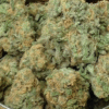 Buy Blue Dream Strain Europe