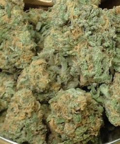 Buy Blue Dream Strain Europe