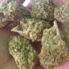 Green Afgooey Kush Europe