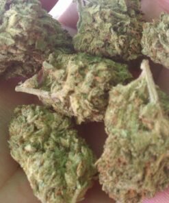 Green Afgooey Kush Europe