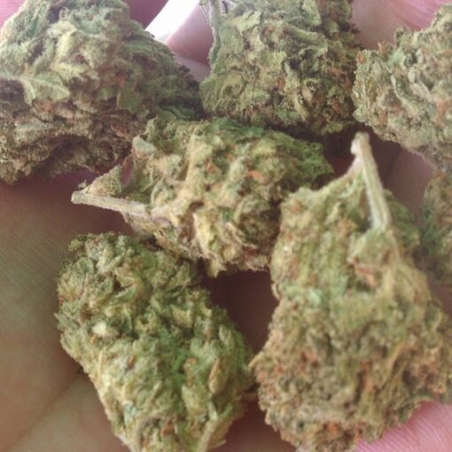 Green Afgooey Kush Europe