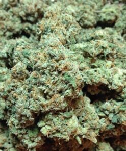 Buy kerala kush online buy dankvapes online where to buy cereal carts europe buy banana kush online buy white widow online