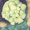 Moonrocks strain Europe