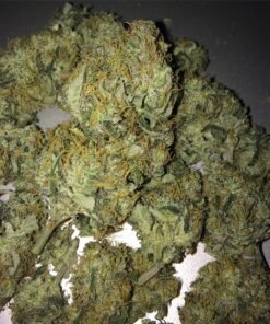 buy northern-light kush online buy cannabis in Belguim Buy weed online Norway Order marijuana Ukraine medical cannabis UK
