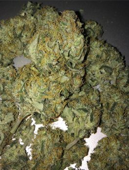 buy northern-light kush online buy cannabis in Belguim Buy weed online Norway Order marijuana Ukraine medical cannabis UK