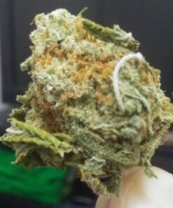 Buy The White Jones Strain Europe
