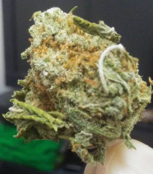 Buy The White Jones Strain Europe