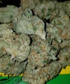 White Fire OG strain Europe