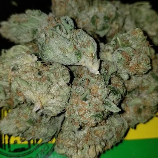 White Fire OG strain Europe
