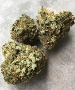 buy g13 kush online 420 mail order poland buy quality weed online buy quality hash online legit marijuana dispensary online