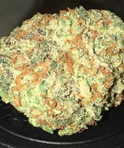 Alice in Wonderland strain Europe