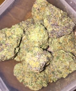 Critical Kush