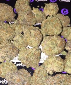 Ghost Train Haze