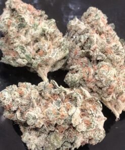 buy chem-4-og online buy moonrock online denmark buy green crack online Belgium cannabis for sale in lithuana buy marijuana in turkey