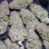 buy blueberry kush online order weed from USA legal marijuana dispensary buy morracan hash online buy illegal weed online