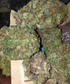 buy grand-daddy purple online marijuana online shipping dank legal buds for sale weed store Europe buy illegal weed online