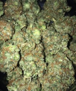 Gorilla Glue 4 strain Europe