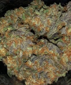 Moonwalker Kush strain Europe
