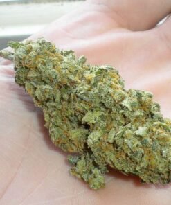 Hydro Green Crack