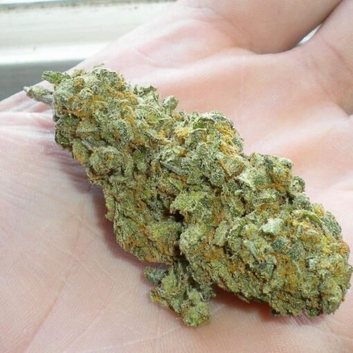 Hydro Green Crack
