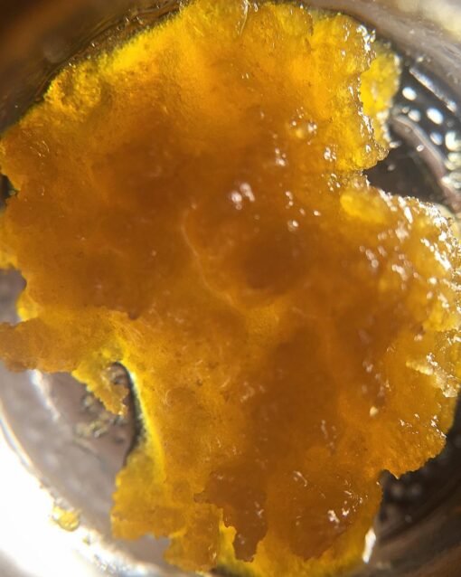 Sensi star