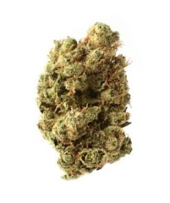 Super Silver Haze Weed Strain Europe