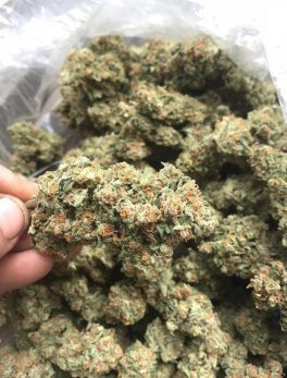 where to Buy weed online 24/7 with a menacing name that hints at its powerful psychoactivity It's a pure South African sativa landrace..