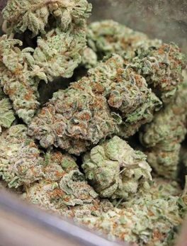 where to buy og kush online is a legendary strain with a name that has recognition even outside of the cannabis world despite its...