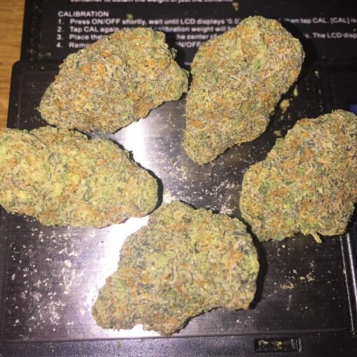 Buy Gelato 41 in Europe