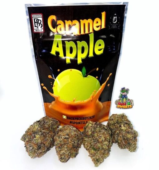 Buy Caramel Apple BackPackBoyz Online UK Order Caramel Apple Strain Online Buy Caramel Apple Strain Online UK