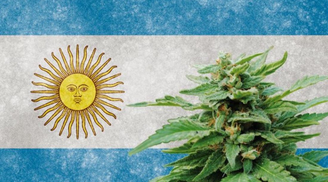 Where To Buy Marijuana in Argentina Dónde comprar marihuana en Argentina Buy Cannabis Online Argentina Comprar cannabis online en Argentina