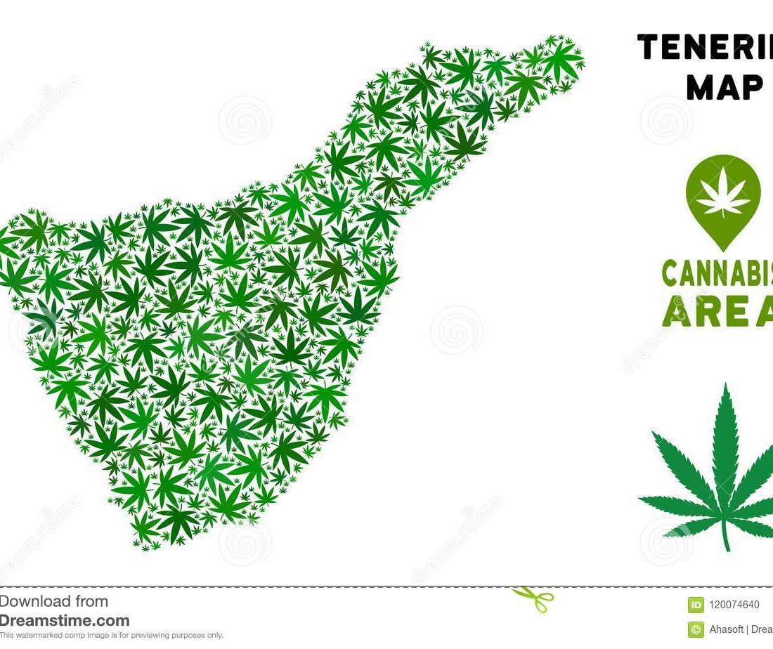 Where To Buy Weed In Tenerife Where can you get weed in Tenerife? Buy Cannabis Online Tenerife Buy Weed In Tenerife 42O Tenerife Coffeeshops