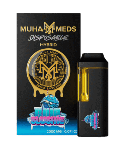 Buy Blue Slushie THC Disposable vape in Europe