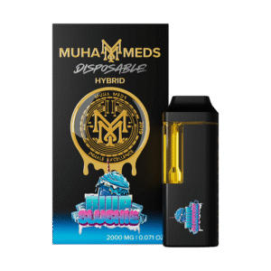 Buy Blue Slushie THC Disposable vape in Europe